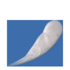 DCL Dermatologic Alpha Beta Gel Exfoliant -LushSkin Shop Alpha Beta Gel Exfoliant add3 37659 1555 general