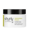 Shunly Antioxidant Masque -LushSkin Shop Antioxidant Masque 55526 855 detail