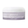 Eminence Organics Blueberry Soy Night Recovery Cream -LushSkin Shop Blueberry Soy Night Recovery Cream 6544 1598 detail