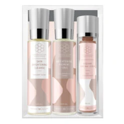 Rhonda Allison Pigmentation Solutions Sun Induced Essentials