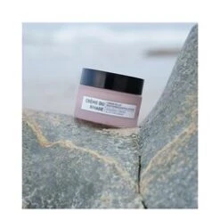 Algologie Radiance Firming And Lifting Cream -LushSkin Shop Radiance Firming and Lifting Cream add5 55118 4901 general