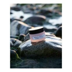 Algologie Radiance Firming And Lifting Cream -LushSkin Shop Radiance Firming and Lifting Cream add6 55118 6959 general